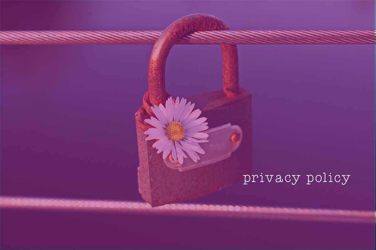 privacy policy padlock image